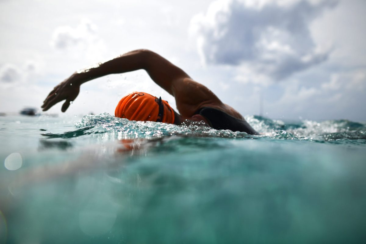 Gough Selected for Open Water World Champs Team